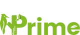 Logo woodprime verde 03 e1746391095583