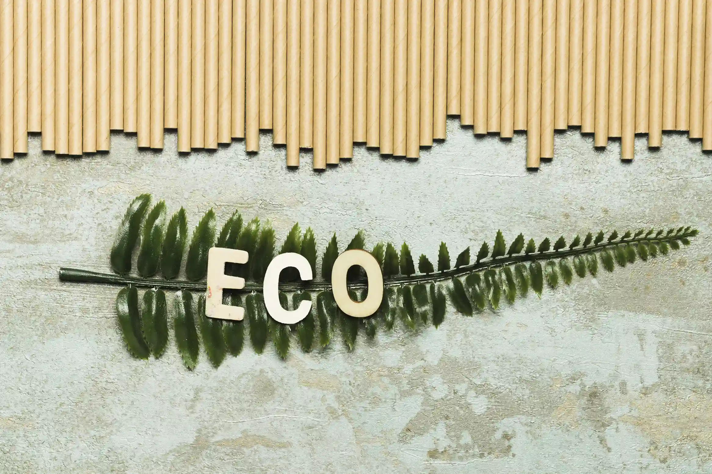 WPC: A Sustainable and Eco-Friendly Alternative